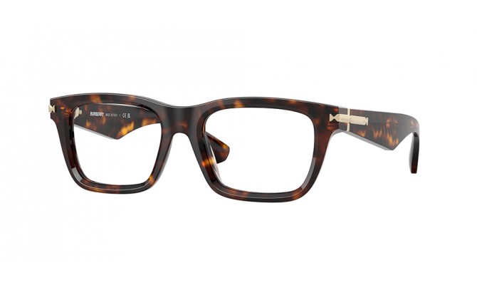  Burberry BE2419-3002-53