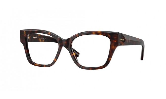  Burberry BE2420-3002-52