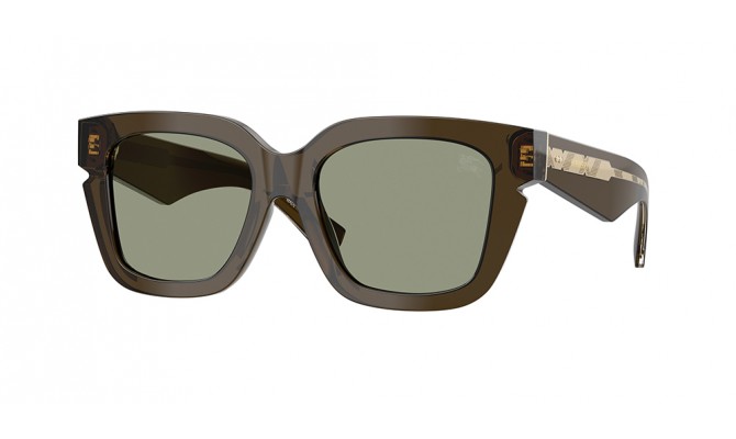 Gafas de sol Burberry BE4453-3010/2