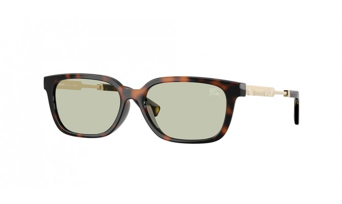 Gafas de sol Burberry BE4481D-3002/2
