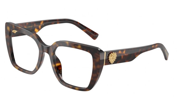  Dolce&Gabbana DG3441-502-53