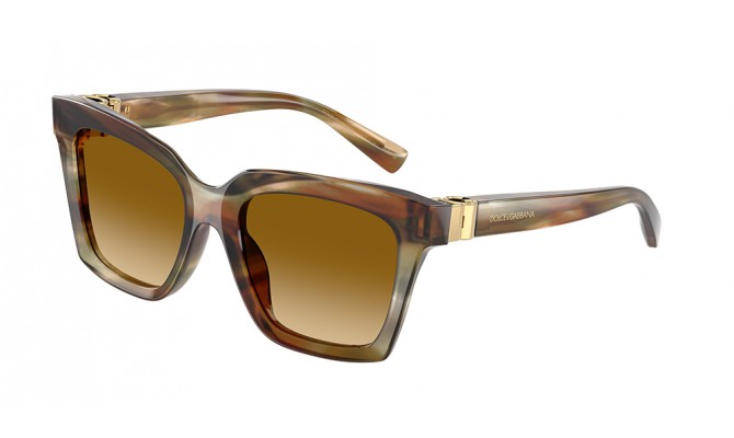 Gafas de sol Dolce&Gabbana DG4498-34462L