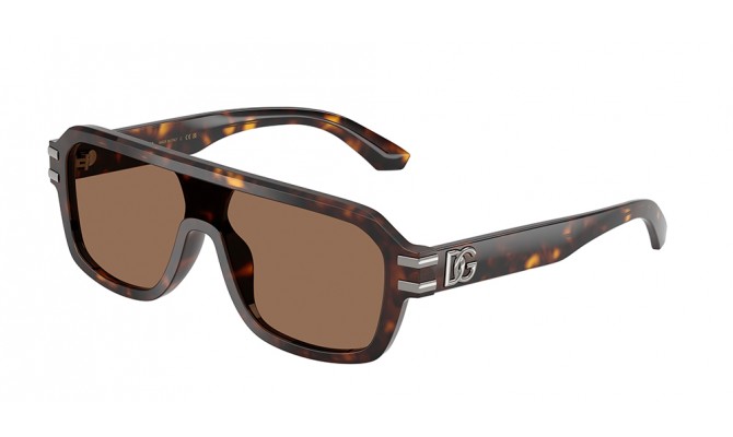 Gafas de sol Dolce&Gabbana DG4507-502/73