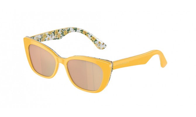 Gafas de sol Dolce&Gabbana DX4427-34437J