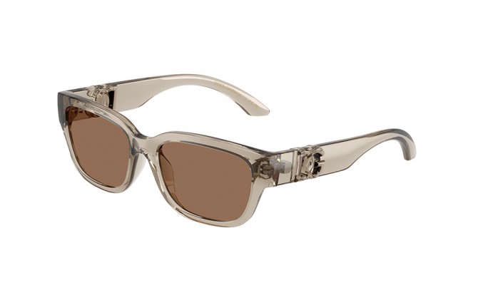 Gafas de sol Dolce&Gabbana DX6009-329173
