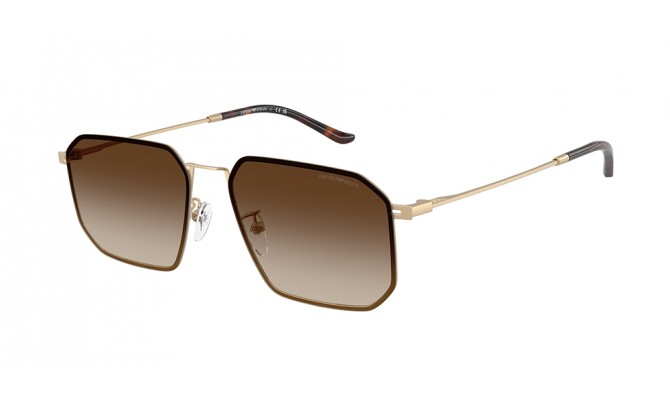 Gafas de sol Emporio Armani EA2165D-300213