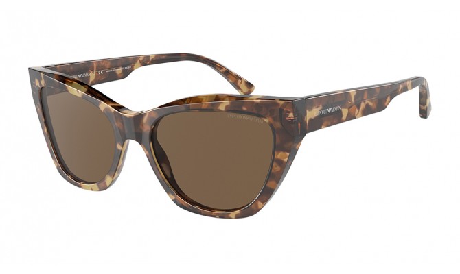 Gafas de sol Emporio Armani EA4176-502573