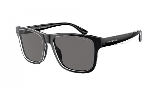 Gafas de sol Emporio Armani EA4208-605187