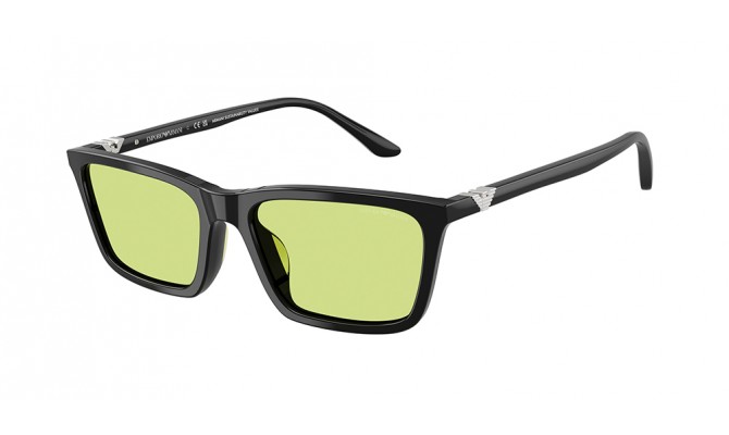 Gafas de sol Emporio Armani EA4239U-5017/2