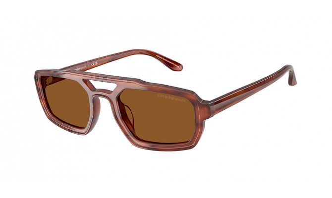 Gafas de sol Emporio Armani EA4240U-620373