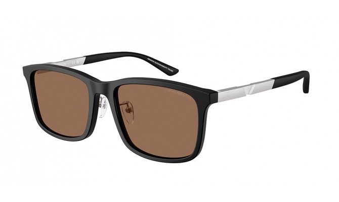 Gafas de sol Emporio Armani EA4241D-500173