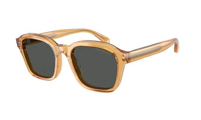 Gafas de sol Emporio Armani EA4245U-624687