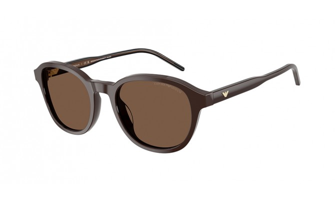 Gafas de sol Emporio Armani EA4247U-625573