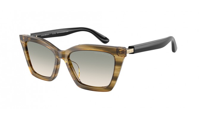 Gafas de sol Emporio Armani EA4250U-62672C