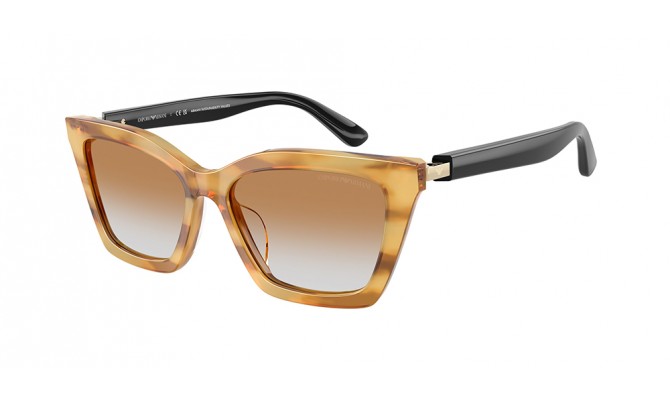 Gafas de sol Emporio Armani EA4250U-62692Q