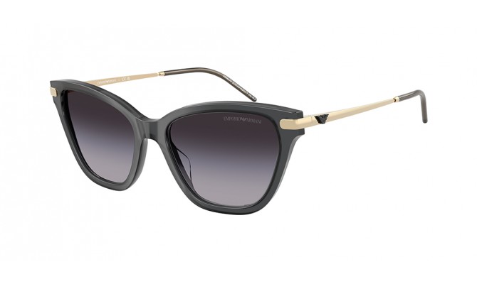 Gafas de sol Emporio Armani EA4251-62628G