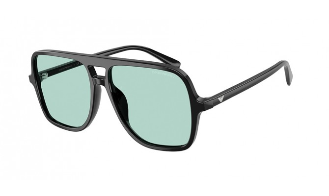 Gafas de sol Emporio Armani EA4252U-501765