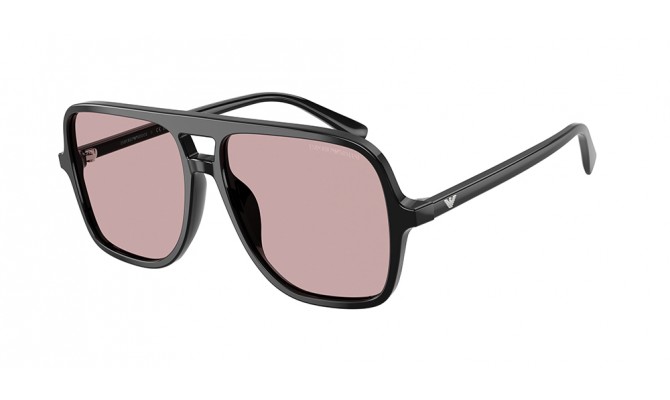Gafas de sol Emporio Armani EA4252U-501773