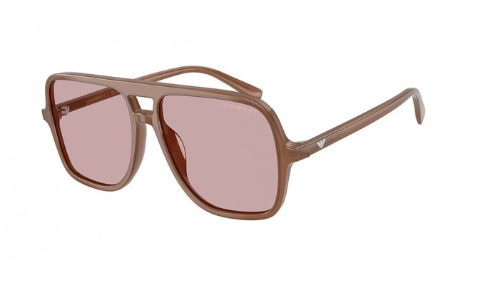Gafas de sol Emporio Armani EA4252U-627173