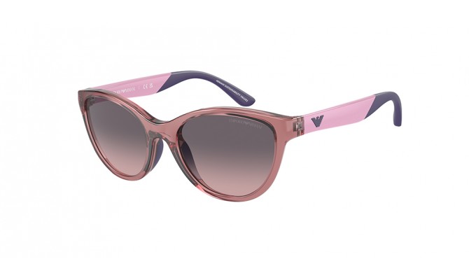 Gafas de sol Emporio Armani EK4003-537646