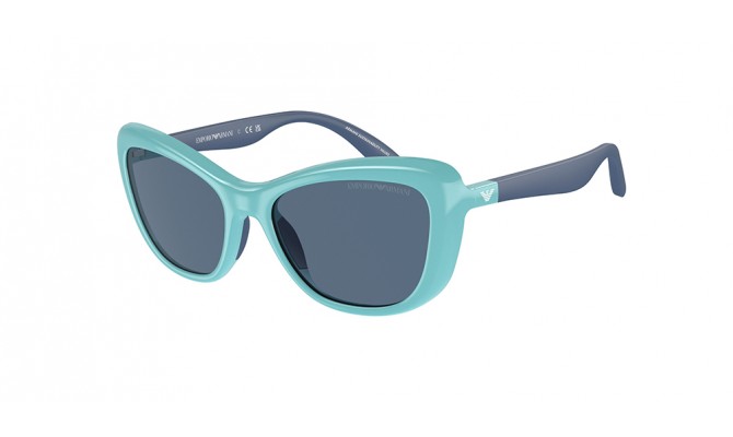 Gafas de sol Emporio Armani EK4004-613280