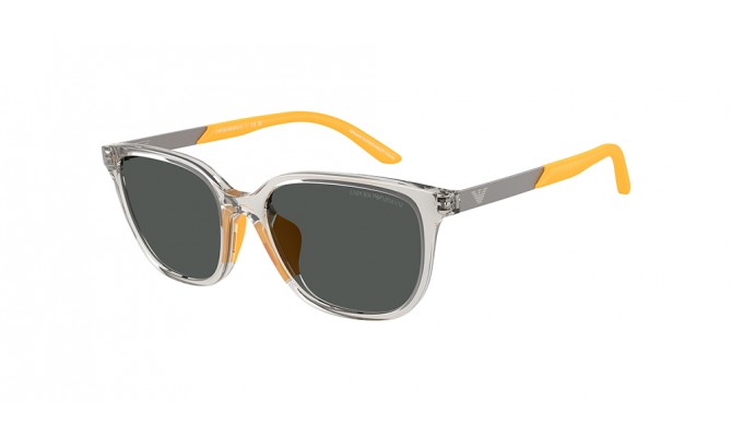 Gafas de sol Emporio Armani EK4006U-627987