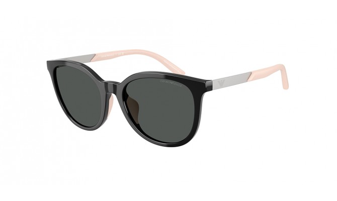 Gafas de sol Emporio Armani EK4007U-501787