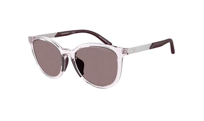 Gafas de sol Emporio Armani EK4007U-61397N