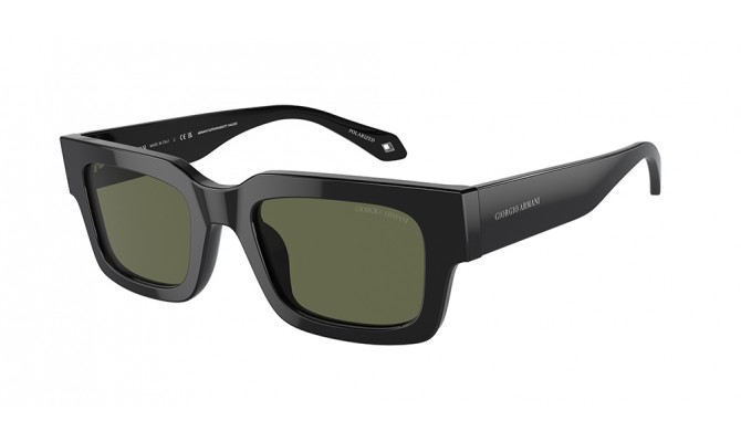 Gafas de sol Giorgio Armani AR8184U-587558