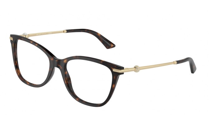  Jimmy Choo JC3007HB-5002-54