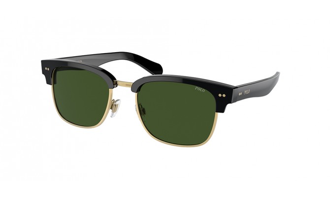 Gafas de sol Polo PH4202-500171