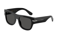 Dolce&Gabbana DG4484-501/87