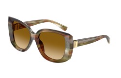 Dolce&Gabbana DG4495-34462L