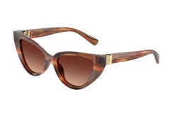 Dolce&Gabbana DG4497-322113