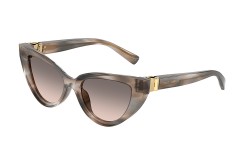 Dolce&Gabbana DG4497-34493B