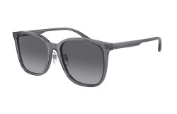 Emporio Armani EA4206D-5029T3