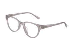 Jimmy Choo JC3051D-5096