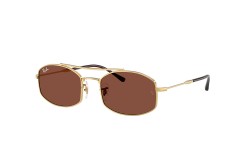 Ray-Ban RB3719-001/C5