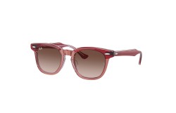 Ray-Ban ® RJ9098S-715413