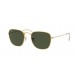 Ray-Ban ® FRANK RB3857-919631