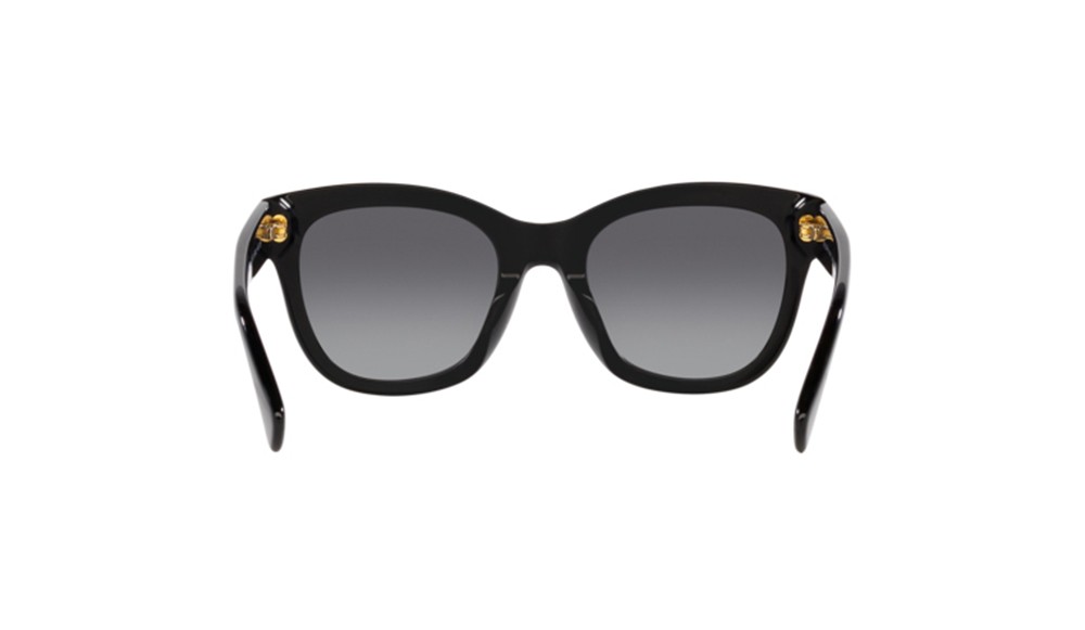 Gafas de sol Ralph Lauren RA5301U-5001T3