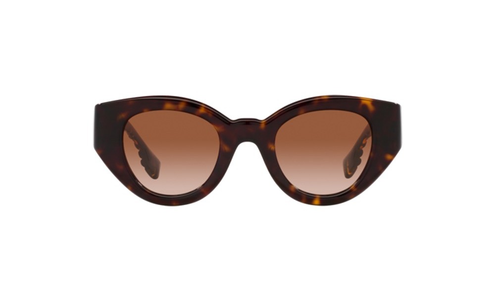 Gafas de sol Burberry BE4390-300213