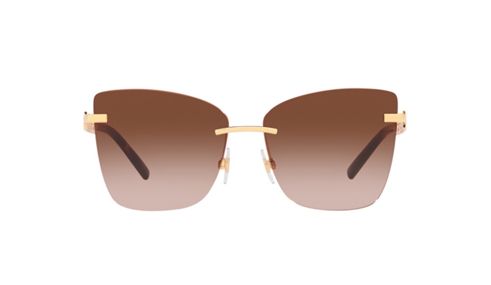 Gafas de sol Dolce&Gabbana DG2289-41306