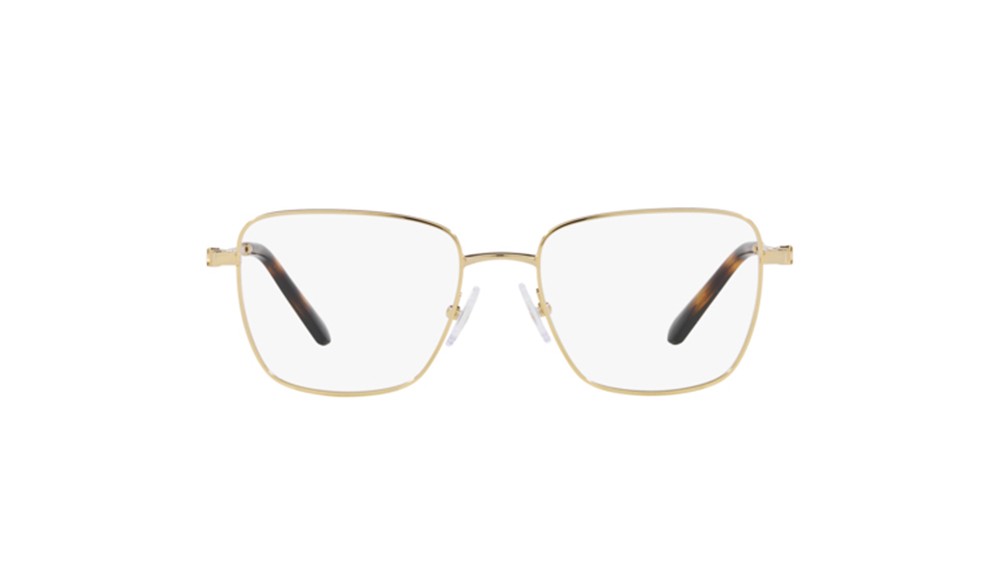  Swarovski SK1003-4013-53