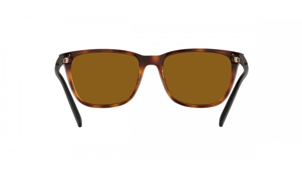  Arnette Cortex AN4291-277083