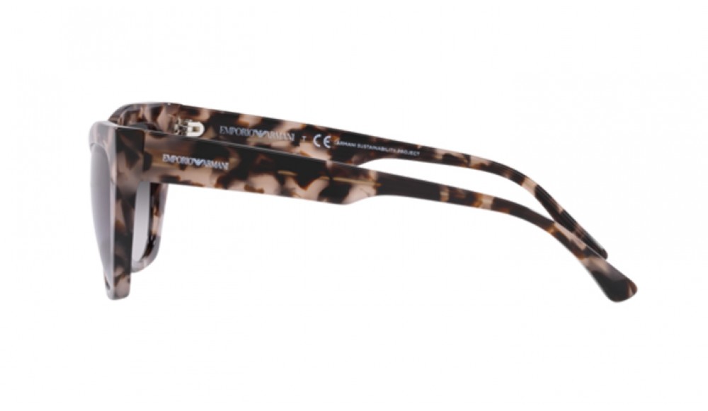 Gafas de sol Emporio Armani EA4176-54108G