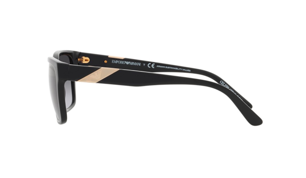 Gafas de sol Emporio Armani EA4177-50788G