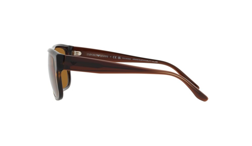 Gafas de sol Emporio Armani EA4197-587983