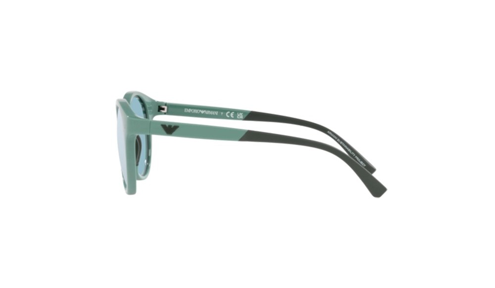 Gafas de sol Emporio Armani EK4185-53331N