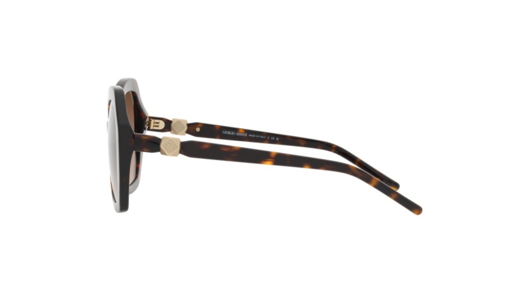 Gafas de sol Giorgio Armani AR8180-502613